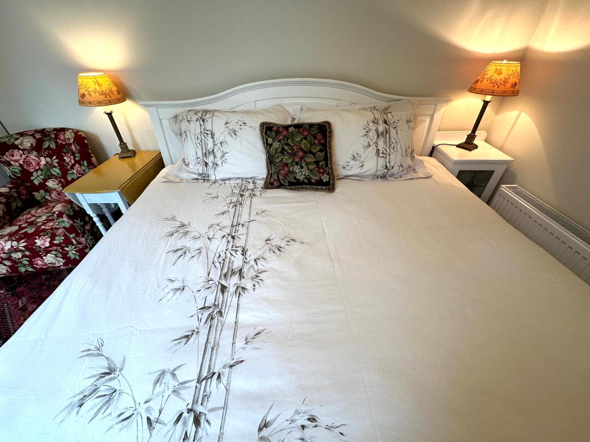 Garden Snug Daire Belfast Dış mekan fotoğraf